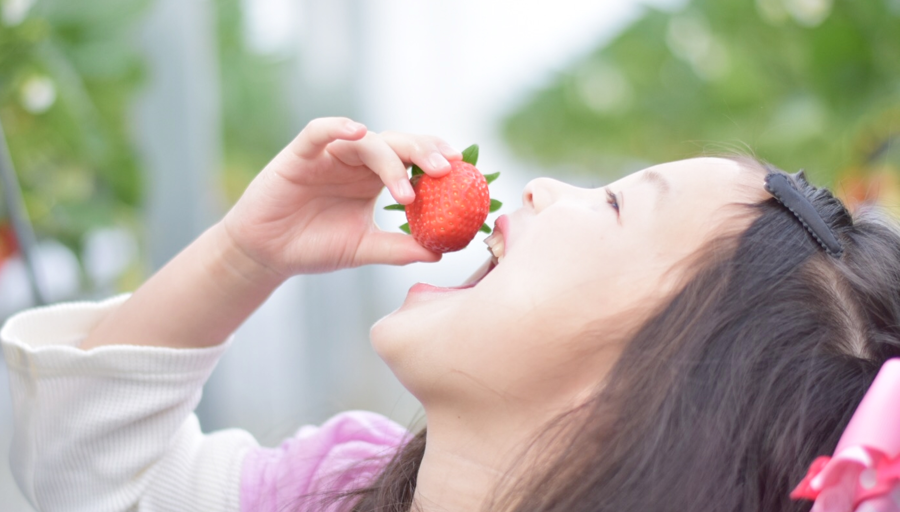 敷き詰められたいちご